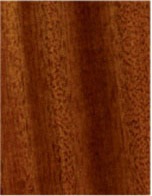 African Mahogany wood species