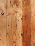 chestnut wood species